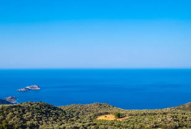 Villa Izo - Görsel 14