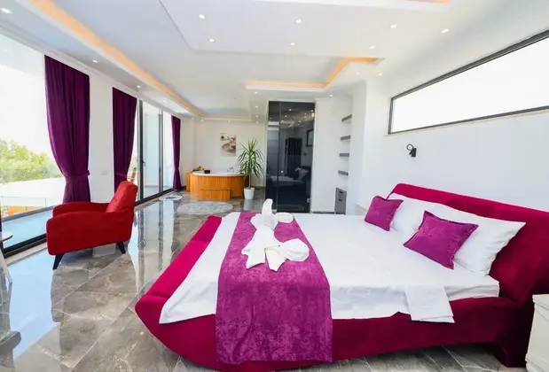 Villa Leader - Görsel 14