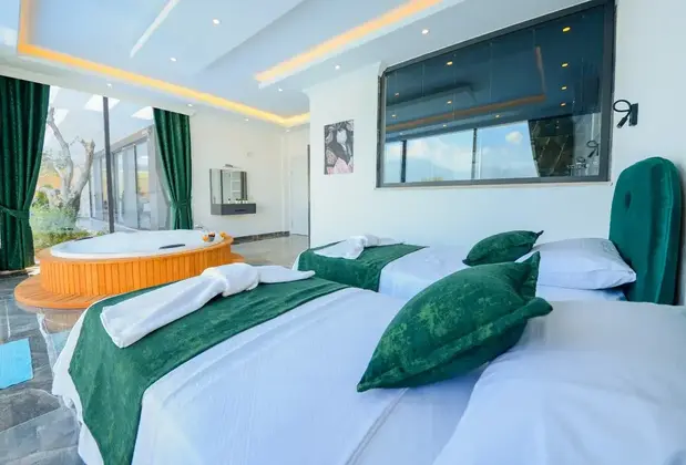 Villa Leader - Görsel 16