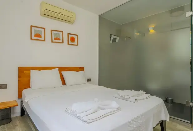 Villa Loca - Görsel 3