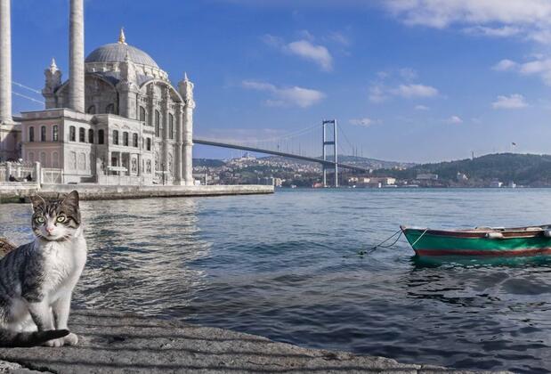 Büyükçekmece Sultan Süleyman Köprüsü nerede, nasıl gidilir?