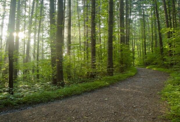 Ayvat Bendi Tabiat Parkı nerede, nasıl gidilir, giriş ücreti nedir, neler yapılır?