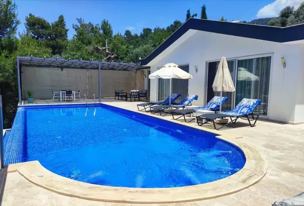 Villa Swiss - Görsel 3