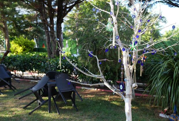 Butterfly Boutique Hotel Ağva - Görsel 6