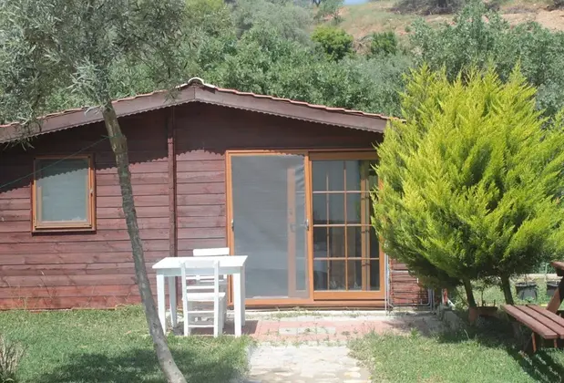 Artolive Datça Butik Otel - Görsel 15