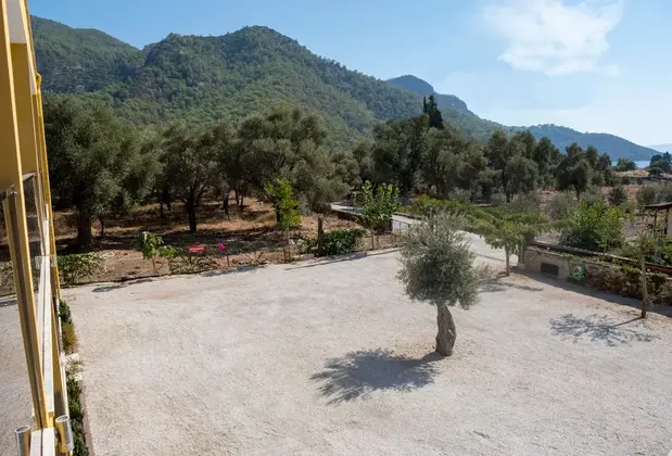 Olive Tree Apart Hotel - Görsel 10