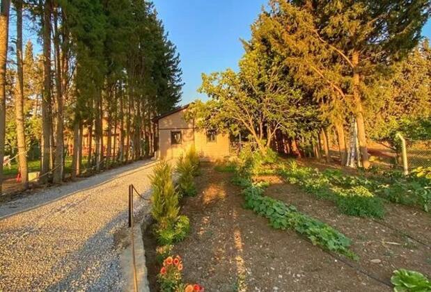 Palaemon Datça & Villa Pusulam - Görsel 8