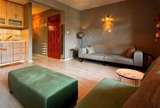 Zoi House Akyaka - Görsel 8