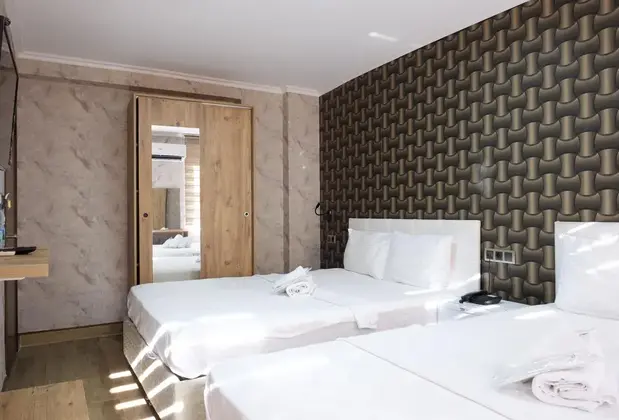 Hanzade Birgi - Görsel 4