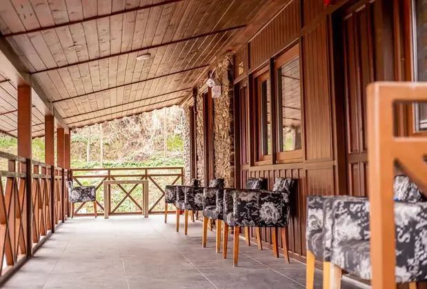 Hanzade Birgi - Görsel 12