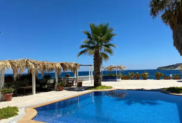 Golden Dreams Homes - Görsel 3