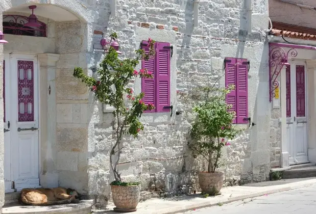 Mi Amor Phokaia - Görsel 4