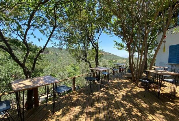 The Lion Inn - Görsel 17