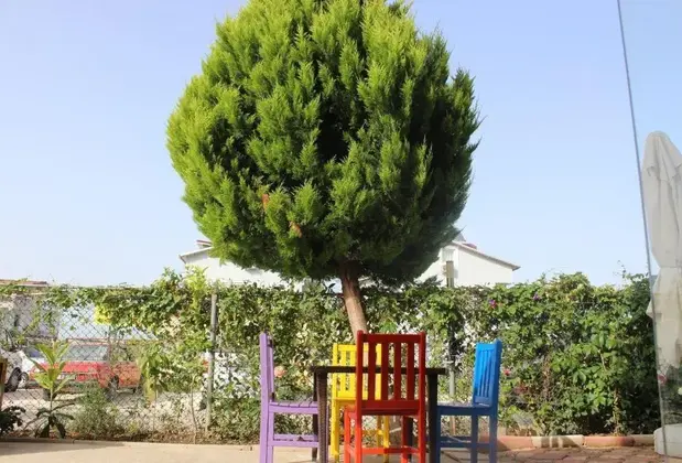 Belek Gözde Otel - Görsel 10