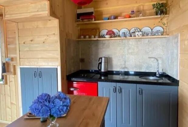 Delmaresuit Villa - Görsel 8