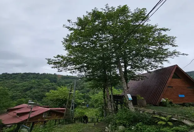 Elagza Dağ Evleri - Görsel 4