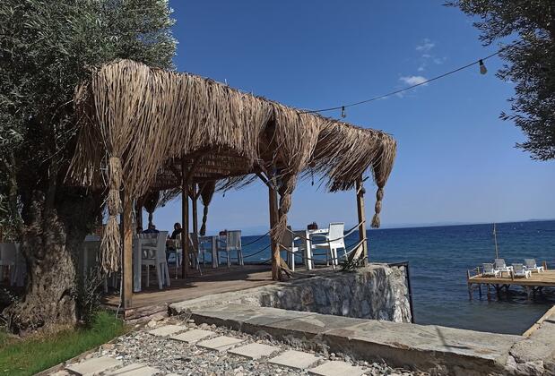 Cuppa Beachglamping - Görsel 4