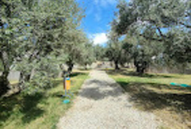 Cuppa Beachglamping - Görsel 6