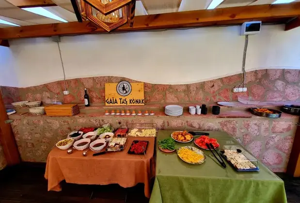 Gaia Taş Konak Geyikli - Görsel 8