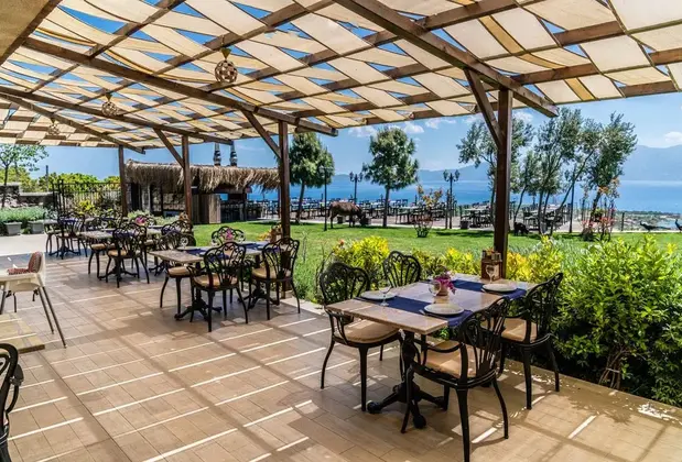 Alis Harikalar Diyarı - Görsel 20