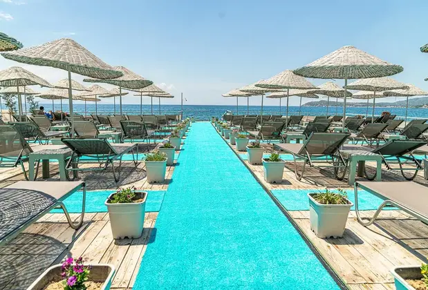 Alis Harikalar Diyarı - Görsel 28