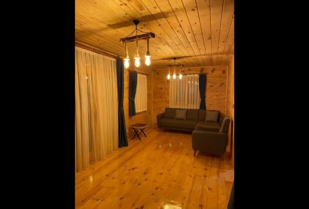 Zeytin Villa - Görsel 6