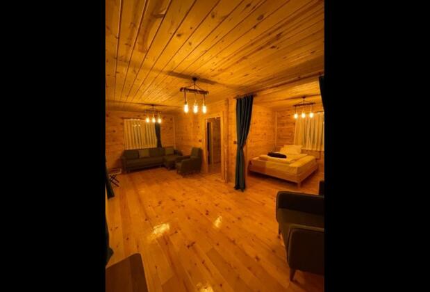 Zeytin Villa - Görsel 8