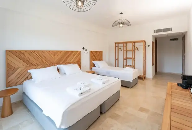 Terra Gaia - Görsel 3