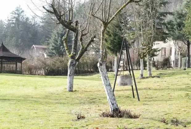 Abant Luna Boutique Villas - Görsel 4