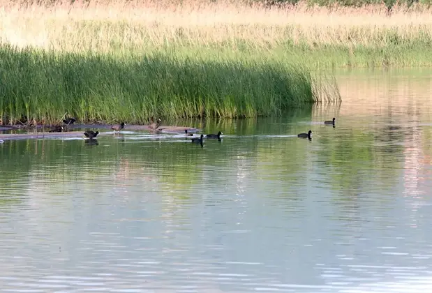 Gölpark Otel - Görsel 11