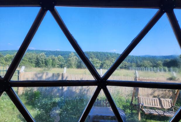 Lepista Garden - Görsel 4