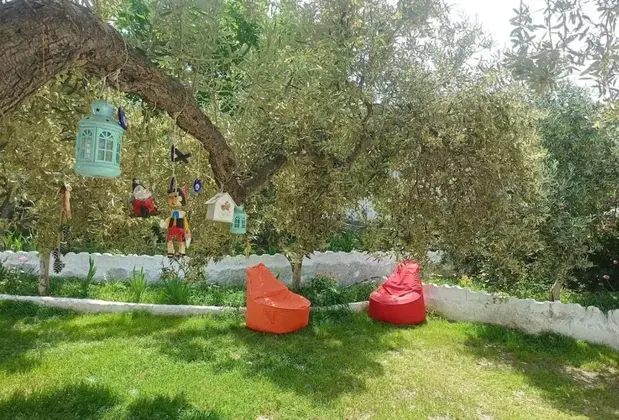 Lotus House - Görsel 10