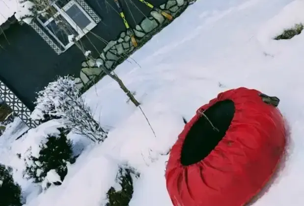 Villa Shine Bolu - Görsel 4