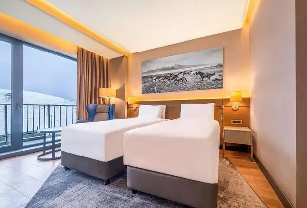 Radisson Blu Hotel Hotel Mount Erciyes Lake Side - Görsel 10