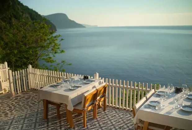 Sadef Akkonak - Görsel 13