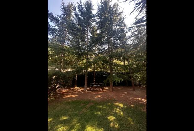 Villa Amesia - Görsel 19