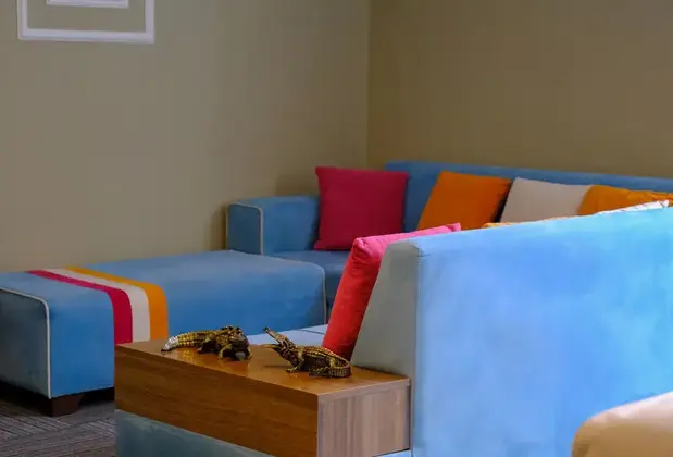 Pereira Samsun - Görsel 11