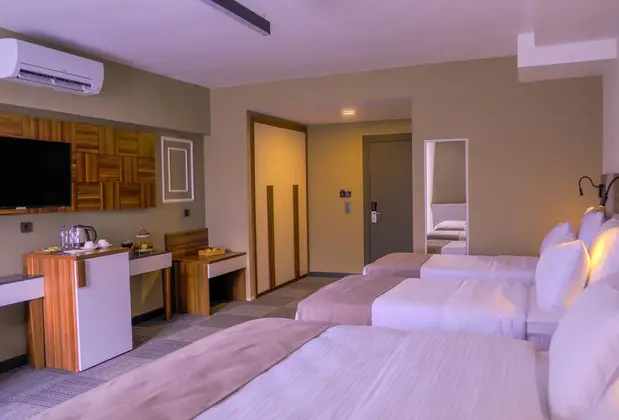 Pereira Samsun - Görsel 10