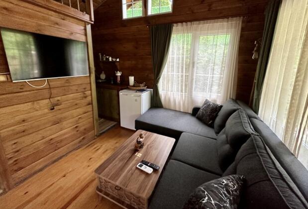 Sapanca Soğucak Dağ Evi - Görsel 20