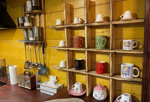 Sapanca Soğucak Dağ Evi - Görsel 24