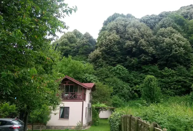 Sevgi Bağı Sapanca - Görsel 22