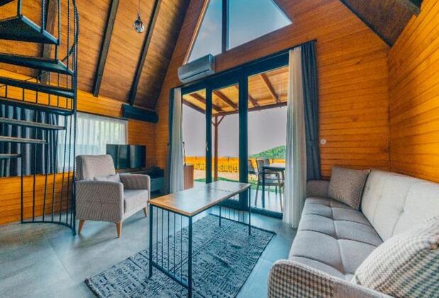 Çatı Sapanca - Görsel 5