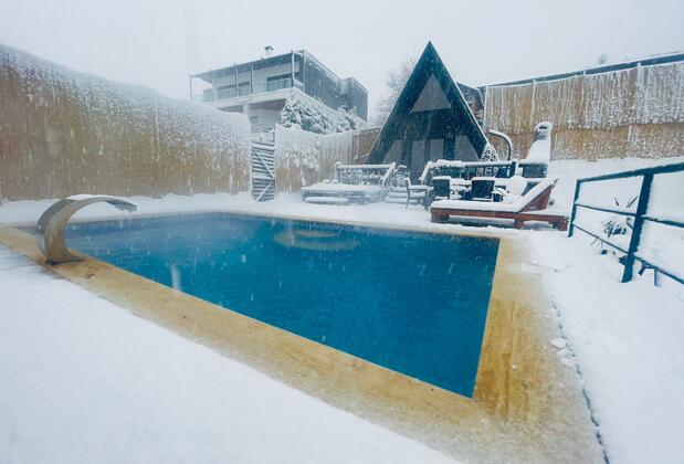 Sapanca Petunya - Görsel 13