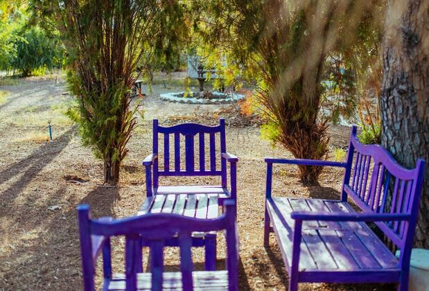 Eski Yeni Tatil Evi Olympos - Görsel 19