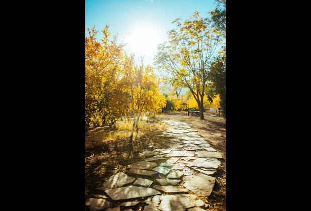 Eski Yeni Tatil Evi Olympos - Görsel 21