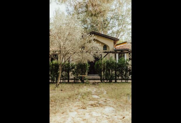Eski Yeni Tatil Evi Olympos - Görsel 20