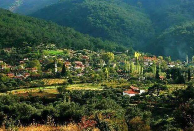 Şehrin Gürültüsünden Uzak, Yeşilin Kalbine Yolculuk: Cumalı Köyü