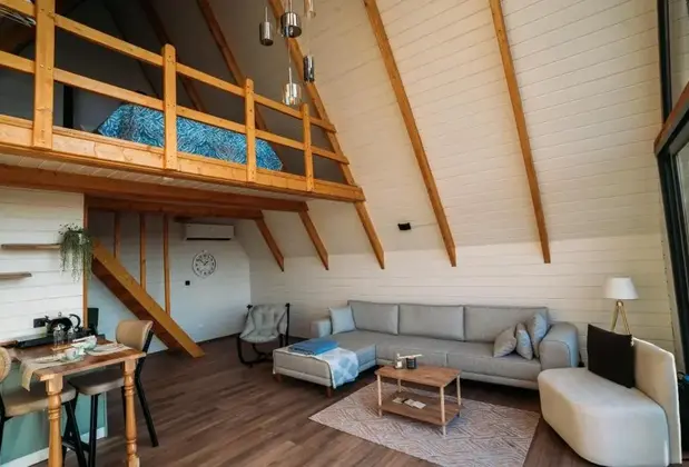 Sapanca İnfinity House - Görsel 7