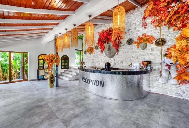 Illusion Beach Club Hotel +16 - Görsel 3