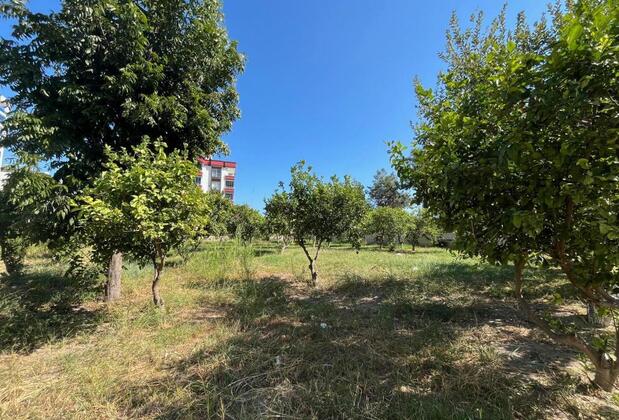 Mersin Panorama Otel - Görsel 3